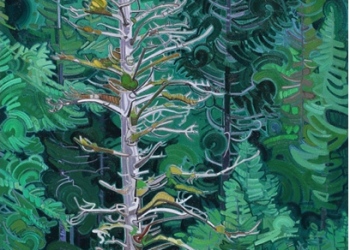 HaidaGwaii07-web